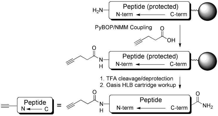 Scheme 2