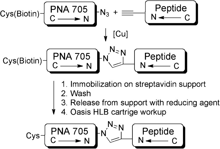 Scheme 3