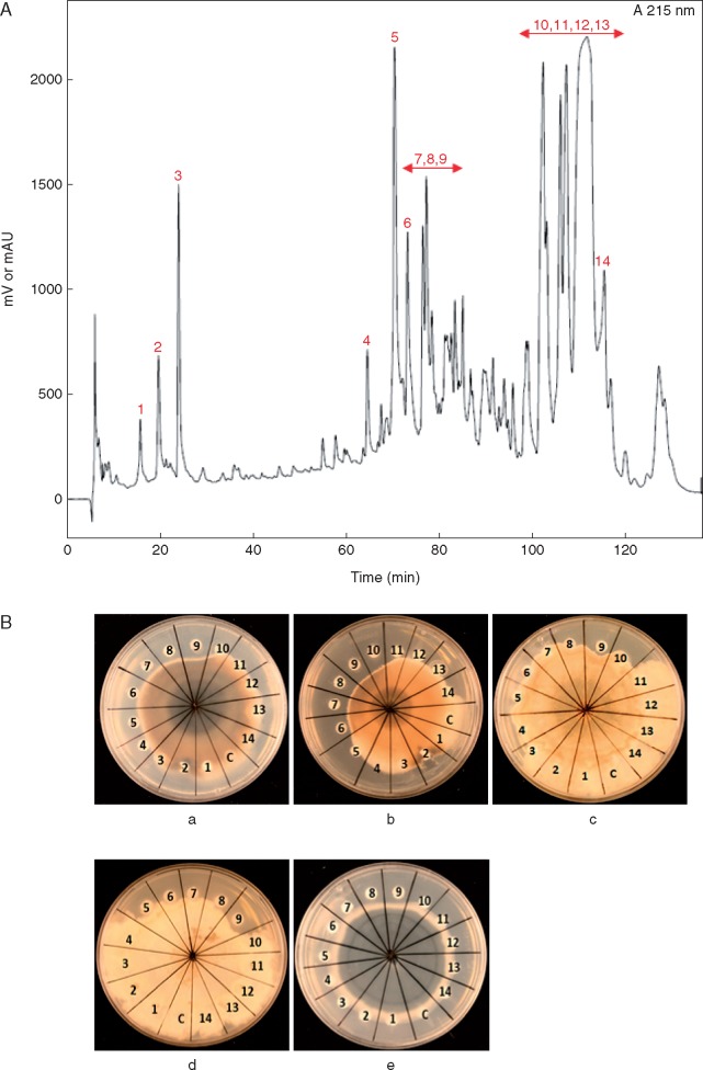 Fig. 2.