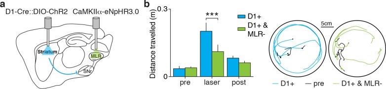 Figure 4—figure supplement 1.