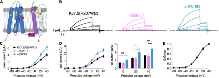 FIGURE 3