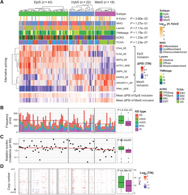 Comprehensive Analysis of Alternative Splicing in Gastric Cancer ...