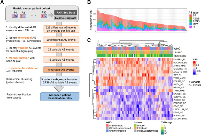 Figure 1. Cancer-associated AS events in gastric tumors. A, Summary of AS-based patient classification scheme. N, normal tissue; P, patient; SNU, Seoul National University; T, tumor. B, Number of differential AS events in tumor versus normal pairs, colored by event type (SE, skipped exon; A5/3SS, alternative 5′/3′ splice site; MXE, mutually exclusive exons; RI, retained intron). The mean number of AS events is shown as a horizontal dashed line. C, Differential AS events in 83 tumors versus normal tissues, plotted as ΔPSI values for each patient. WHO and Lauren classification, as well as tumor stage, are shown.