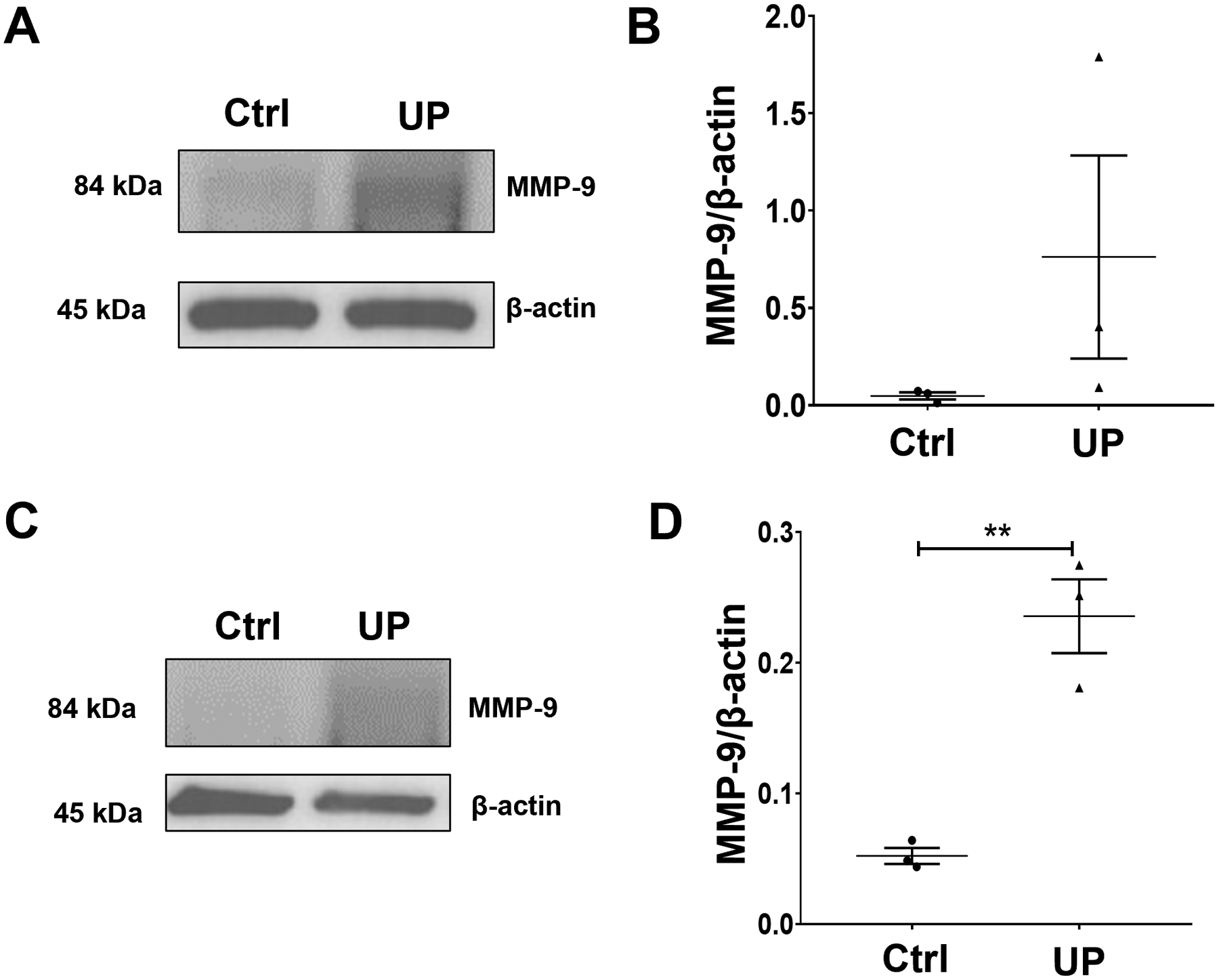 Fig 6.