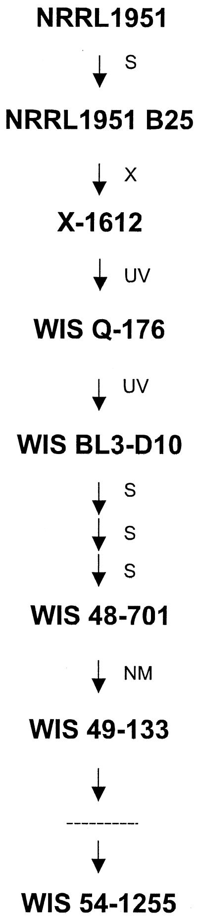 FIG. 5