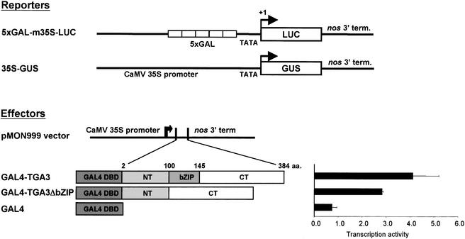 Figure 4.