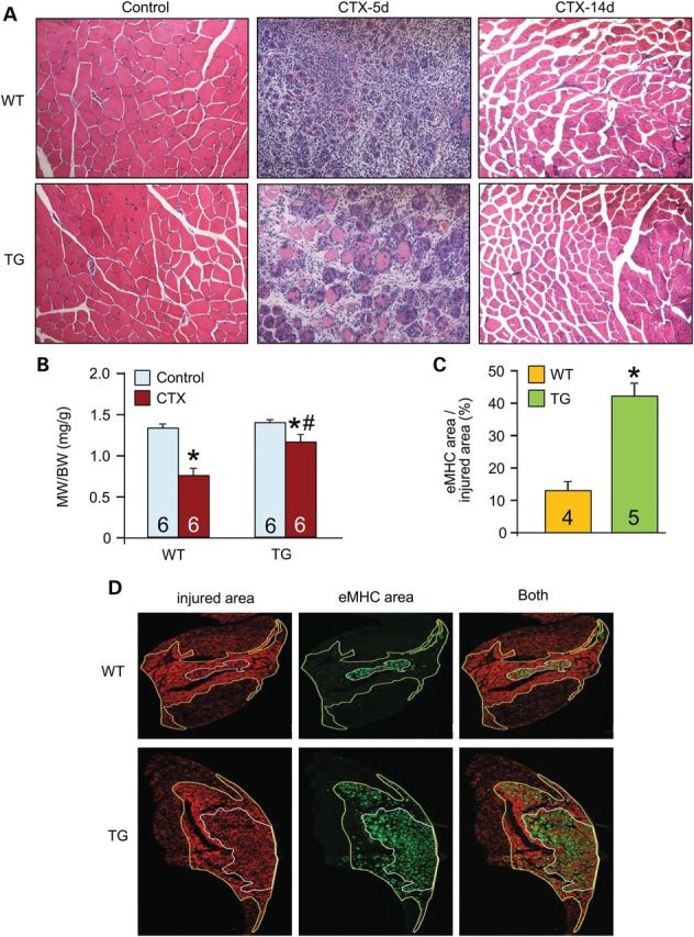 Figure 4.