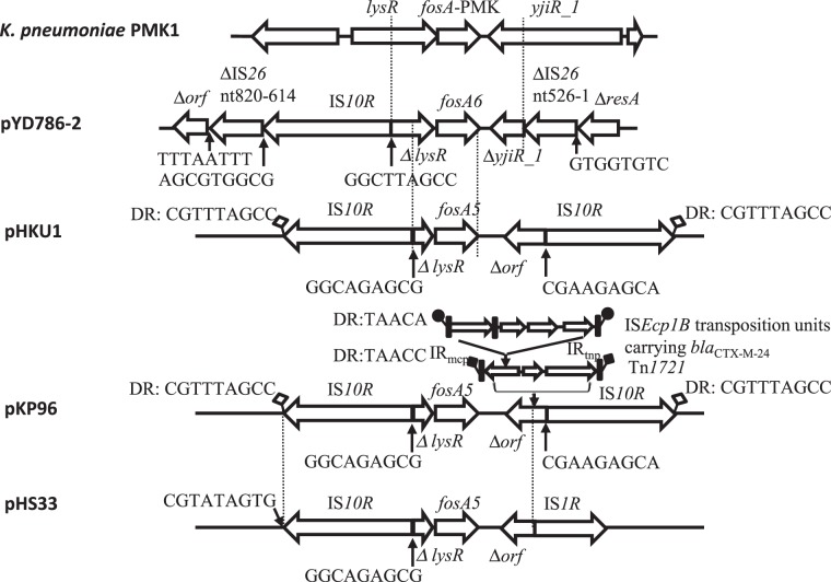 Figure 1.