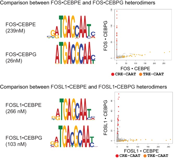 Figure 1—figure supplement 5.