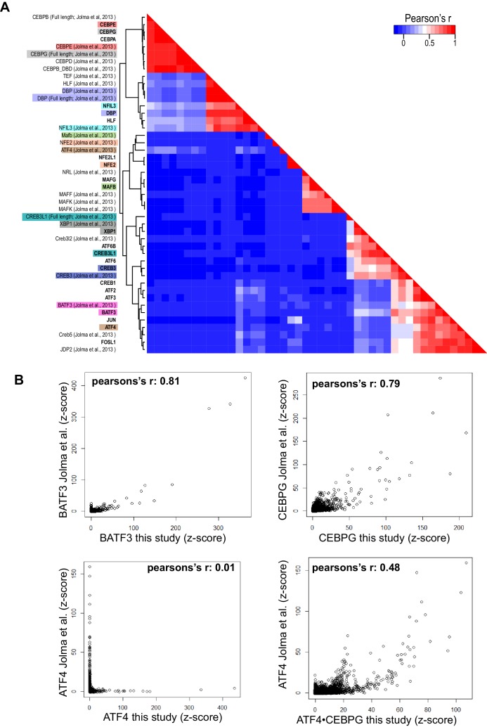 Figure 1—figure supplement 3.