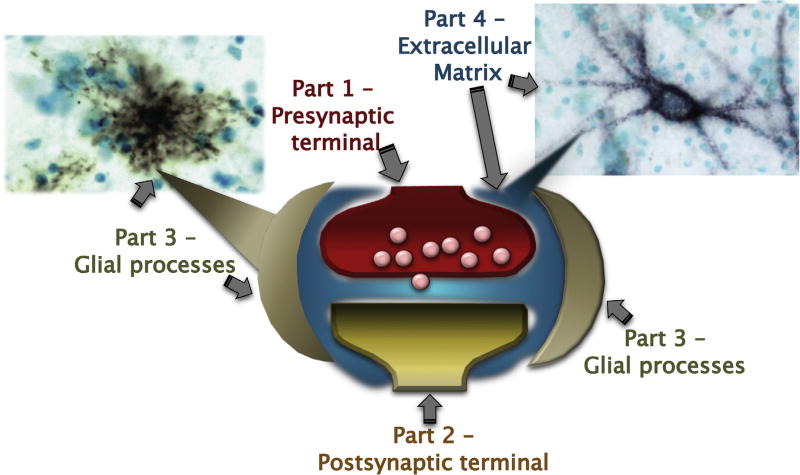 Fig. 1