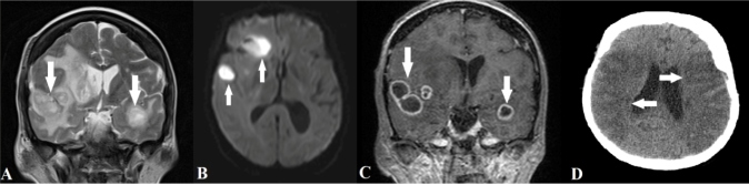 FIGURE 1: