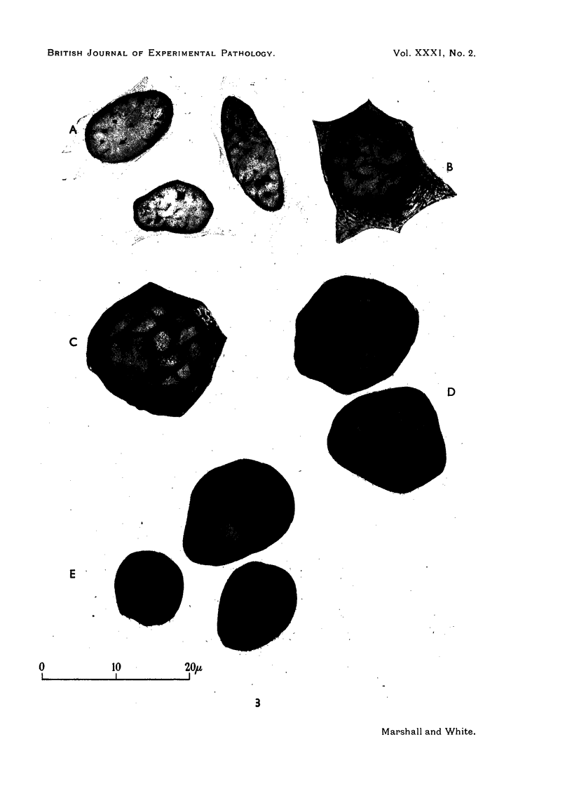160-3