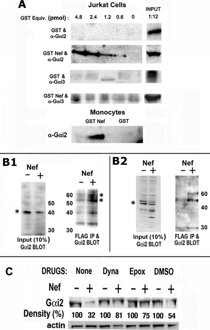 FIGURE 7.