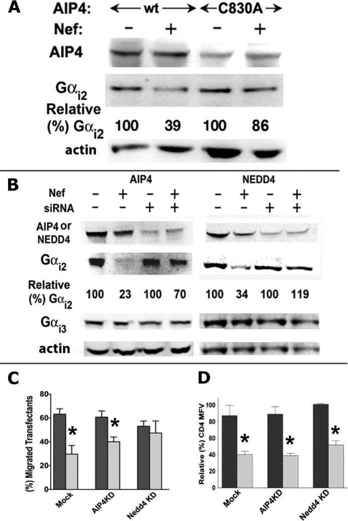 FIGURE 10.