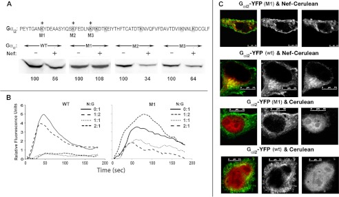 FIGURE 11.