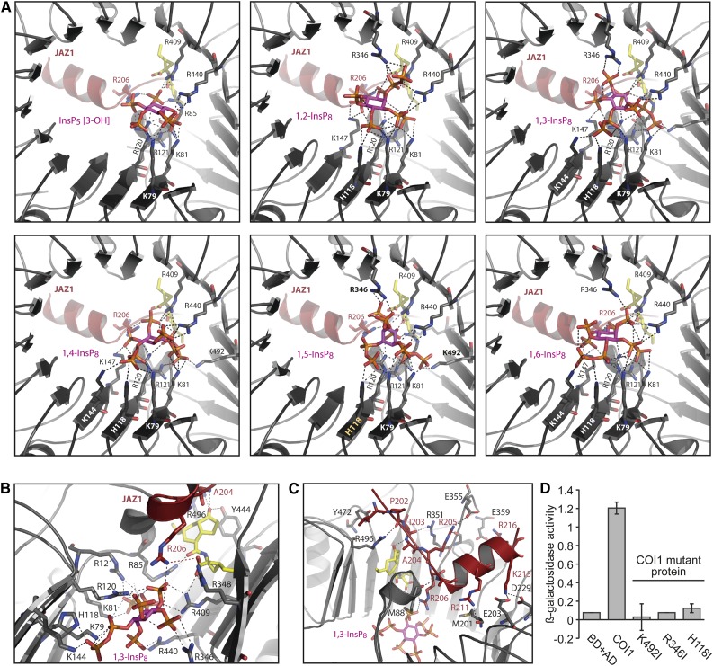 Figure 2.