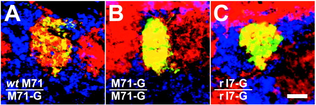 Fig. 9.