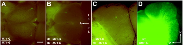 Fig. 8.