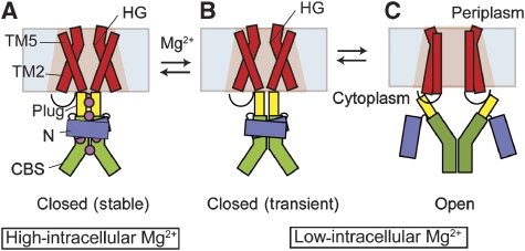 Figure 7