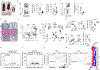 Fig. 1 |