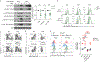 Fig. 7 |