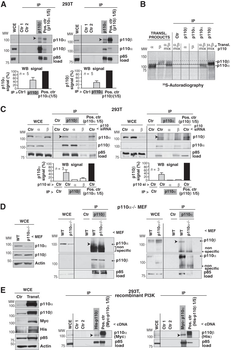 FIG 1