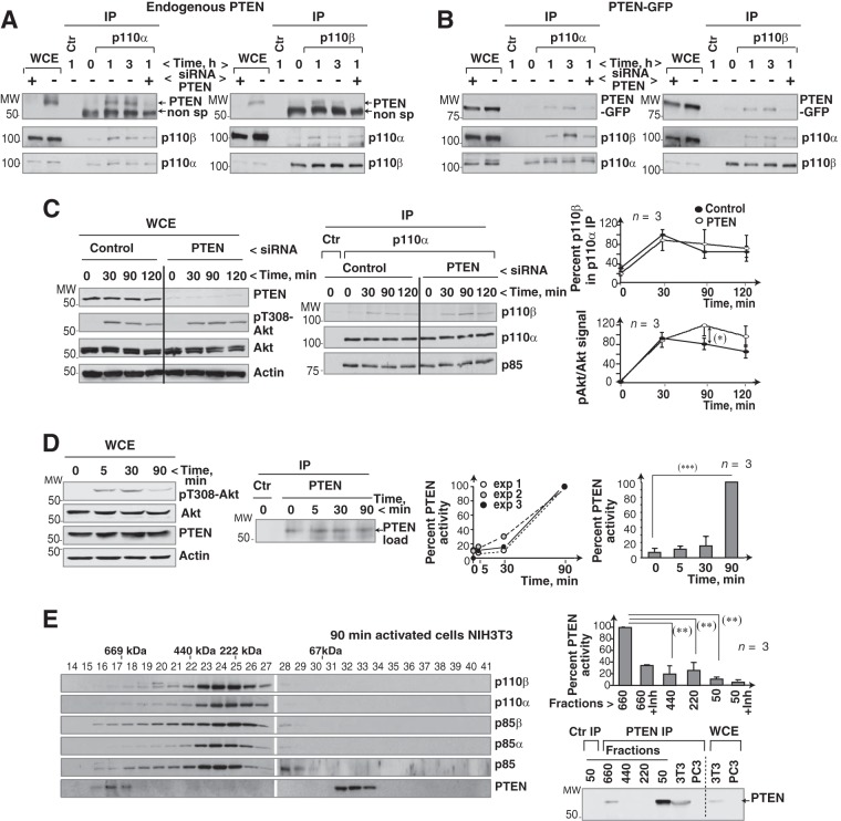 FIG 6