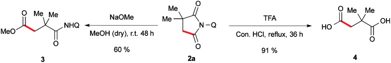 Scheme 6