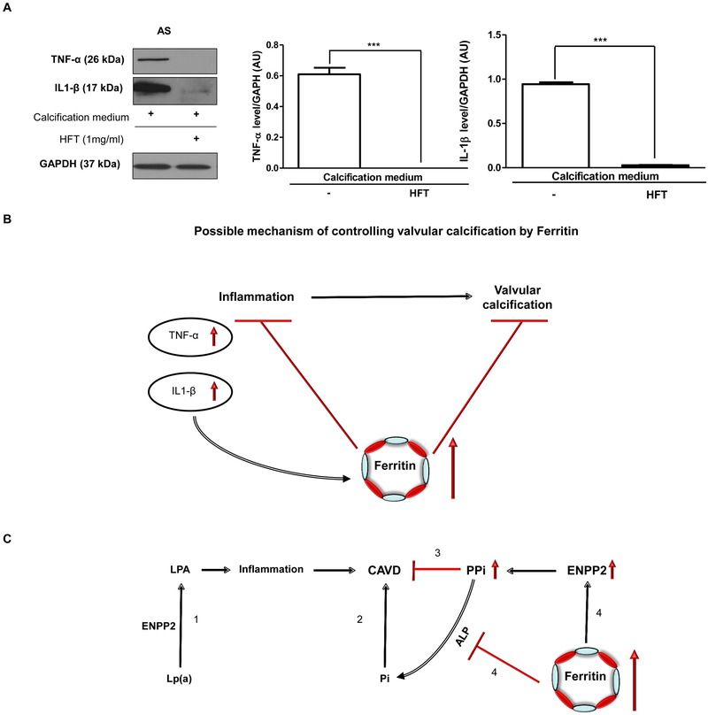 Figure 10.