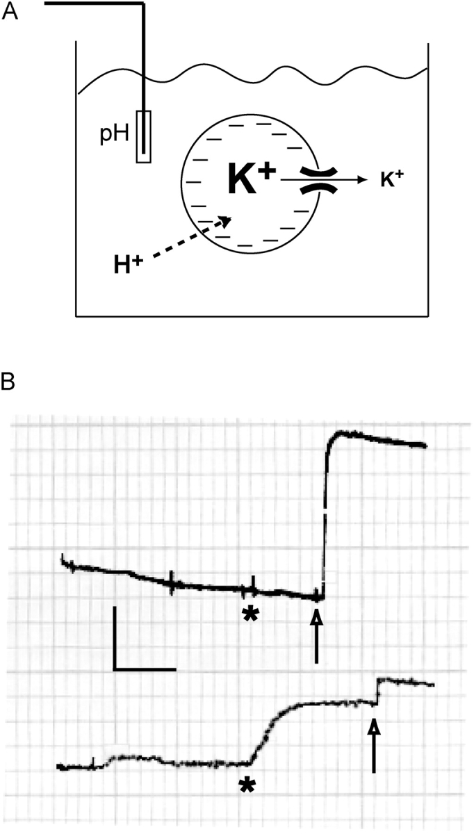 Figure 8. 