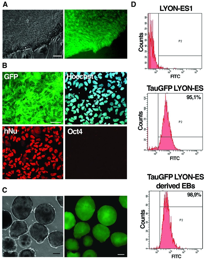 Figure 4