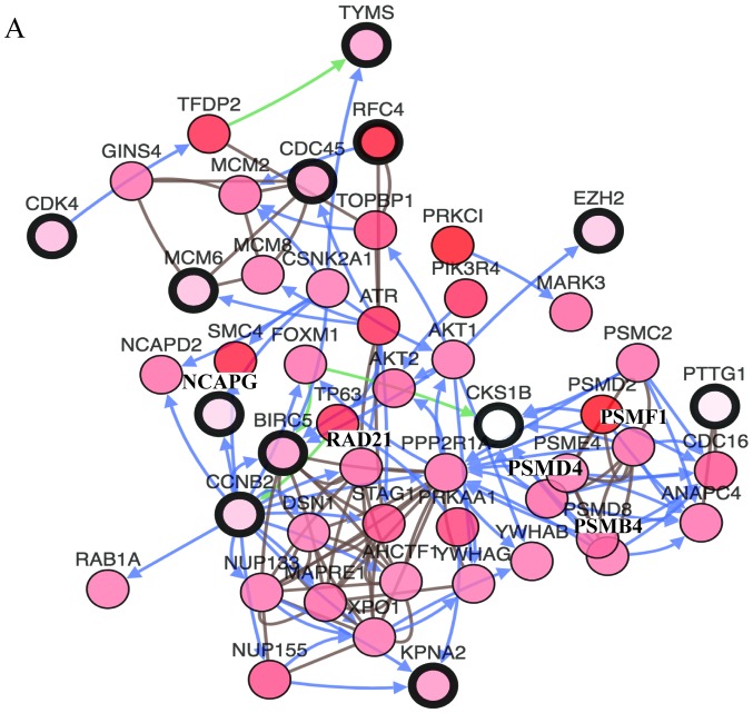 Figure 4.