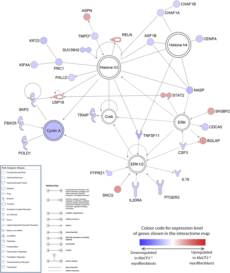 Supplementary Figure 1