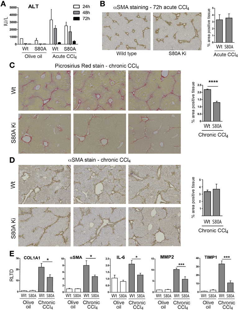 Figure 6