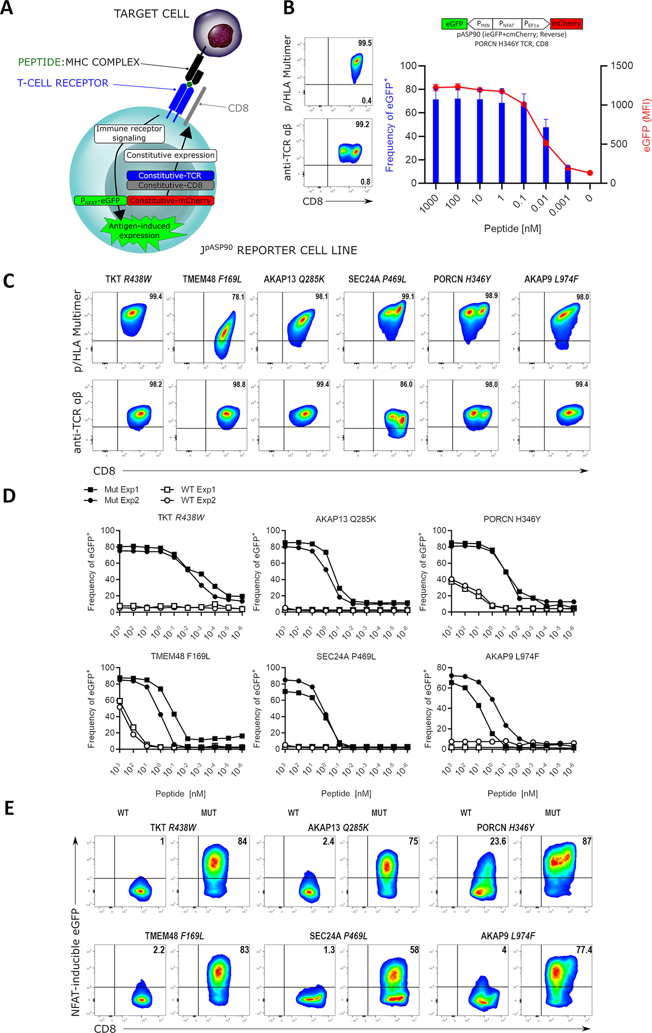 Figure 3: