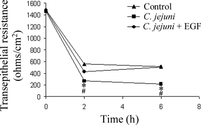 FIG. 5.