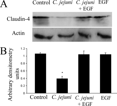 FIG. 8.