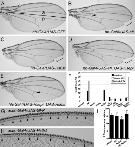 Fig. 3.