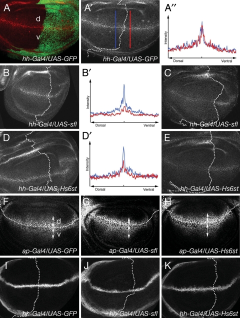 Fig. 4.