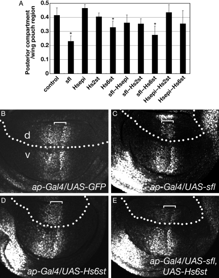 Fig. 5.