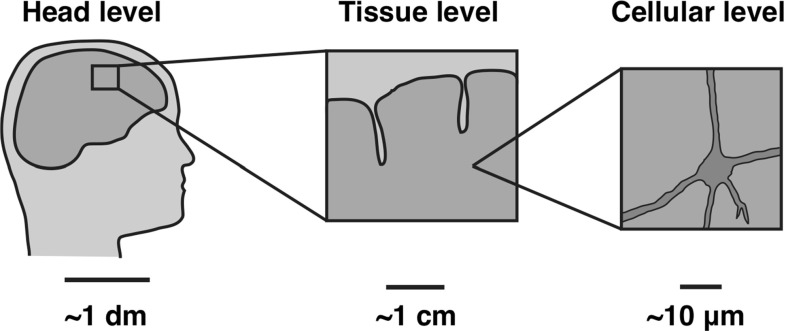 Fig. 16