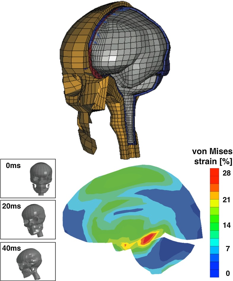 Fig. 17