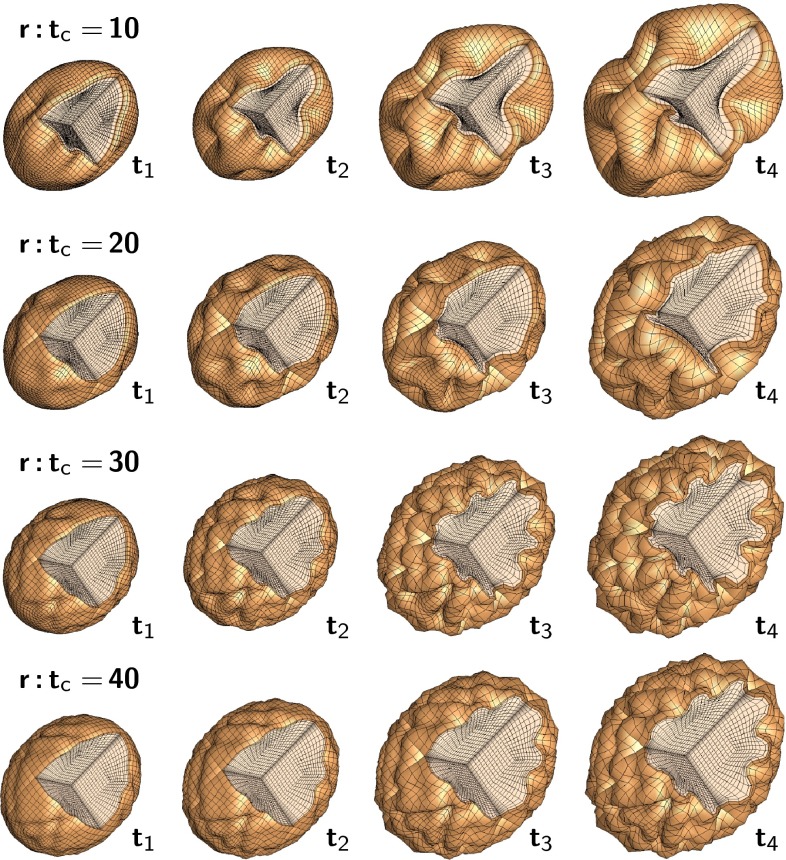 Fig. 11