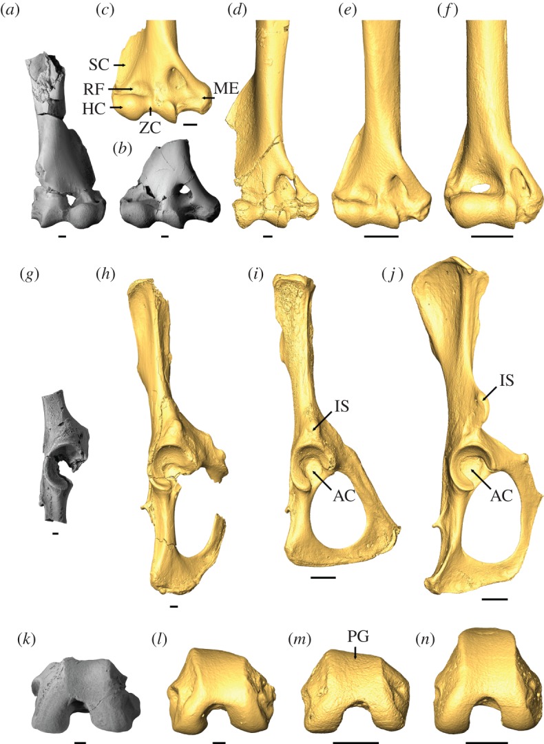 Figure 2.