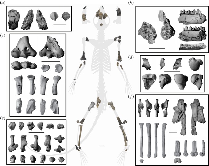 Figure 1.