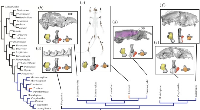 Figure 4.