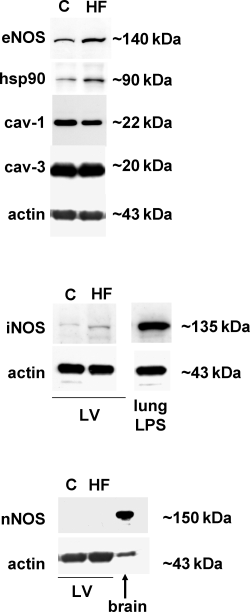 Figure 5