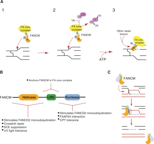 Figure 6.