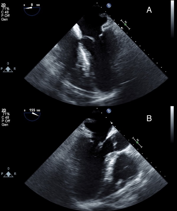 Figure 2